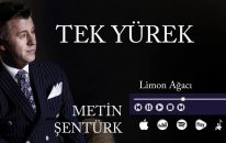Metin Şentürk - Limon Ağacı (Official Audio)