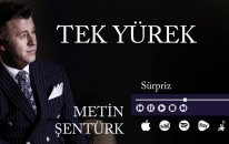Metin Şentürk - Sürpriz (Official Audio)