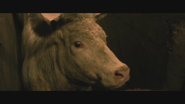Gorge Cœur Ventre (2016) Fragman