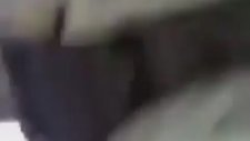 Arabanın Altına Giren Kedi ve Kayserili