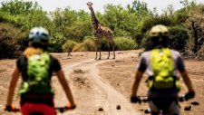 Bisiklet İle Safari Yapmak
