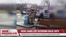 Deniz Sandı Çöp Kutusuna Dalış Yaptı