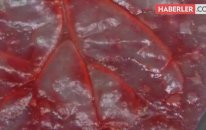 ABD'li Bilim Adamları, Ispanak Yaprağından Kalp Damarı Yaptı