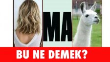 Bu Ne Demek? - Fotoğraflı Soğuk Espri Yarışması