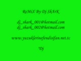 Dj Shark Vs. Sean Paul Get Busy Remix 2009