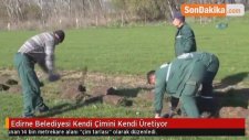 Edirne Belediyesi Kendi Çimini Kendi Üretiyor