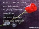 Gitme Kal Diyemedim