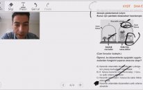 Fotosentez ve Solunum Soruları 1