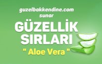 Aloe Vera ile Toksinlerinizden Kurtulun!