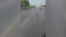 Tayland Sokaklarında Çıplak Gezen Kadın