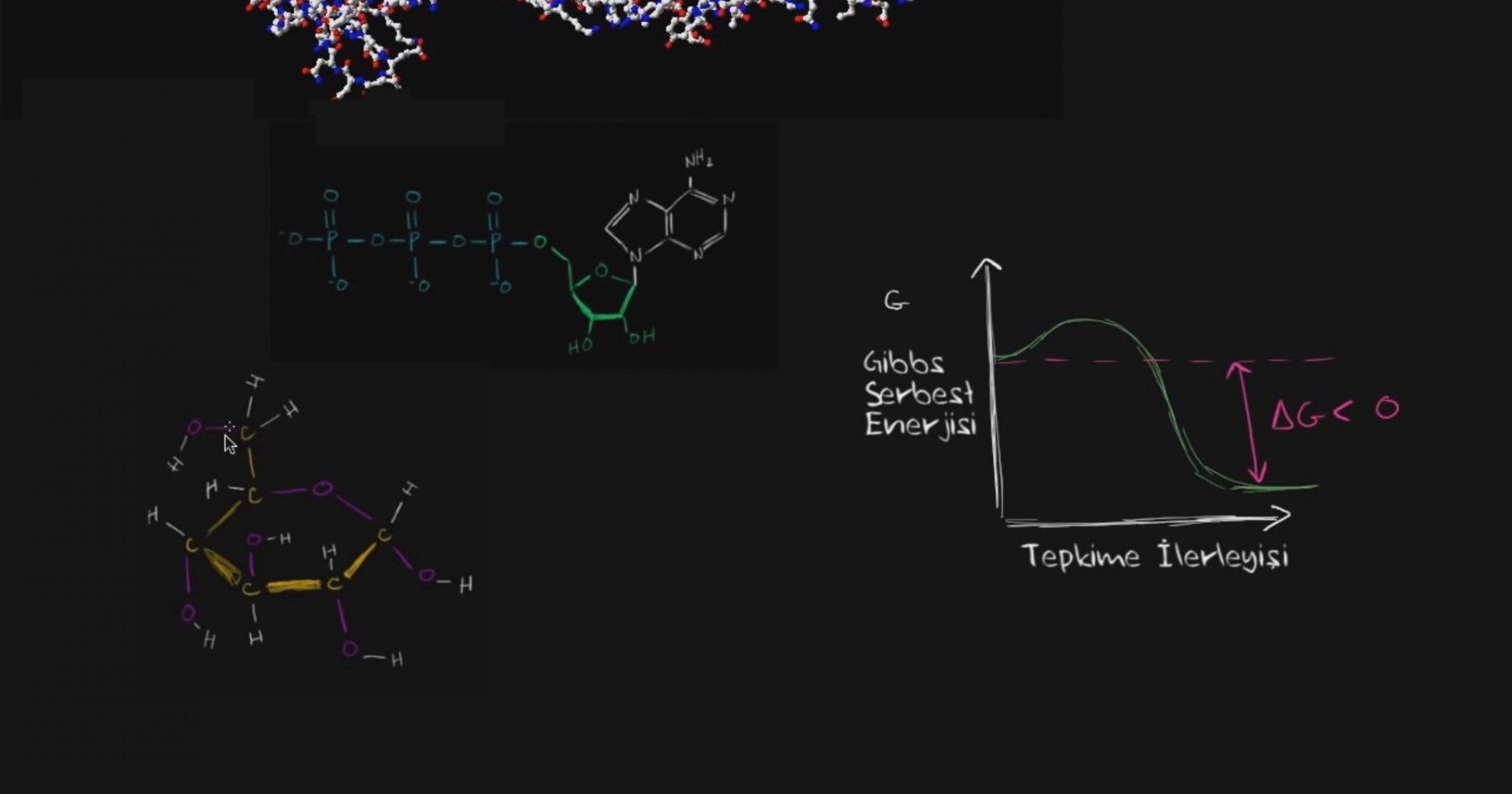 Enzimler Khan Academy Türkçe