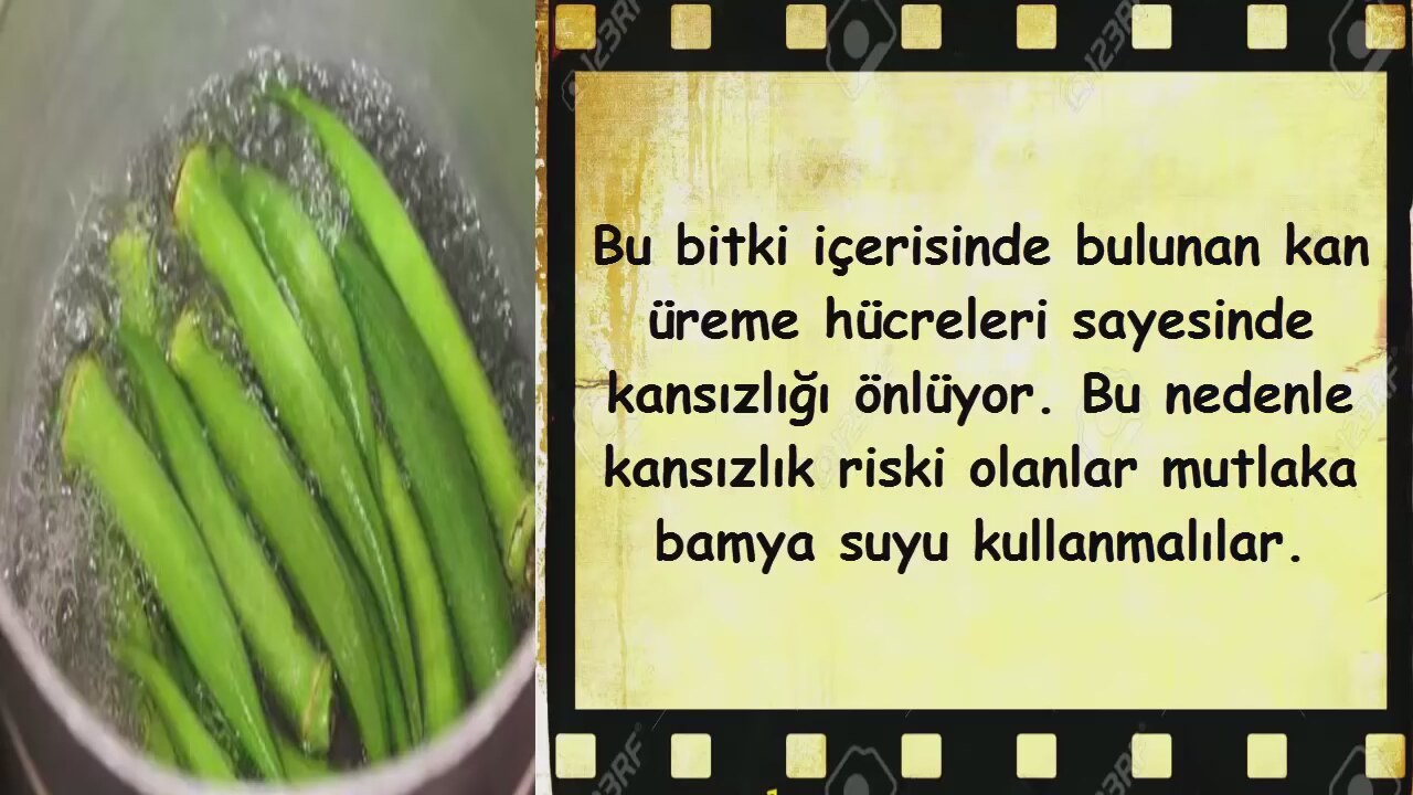 Bamyanın faydaları nelerdir Bamyanın faydaları nelerdir