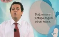 Gebelik (Hamilelik) Hafta: 34
