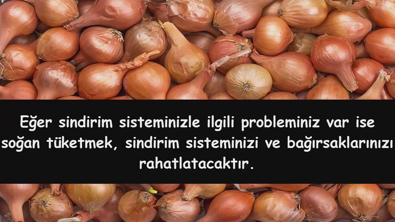 SOĞANIN FAYDALARI SOĞANIN FAYDALARI