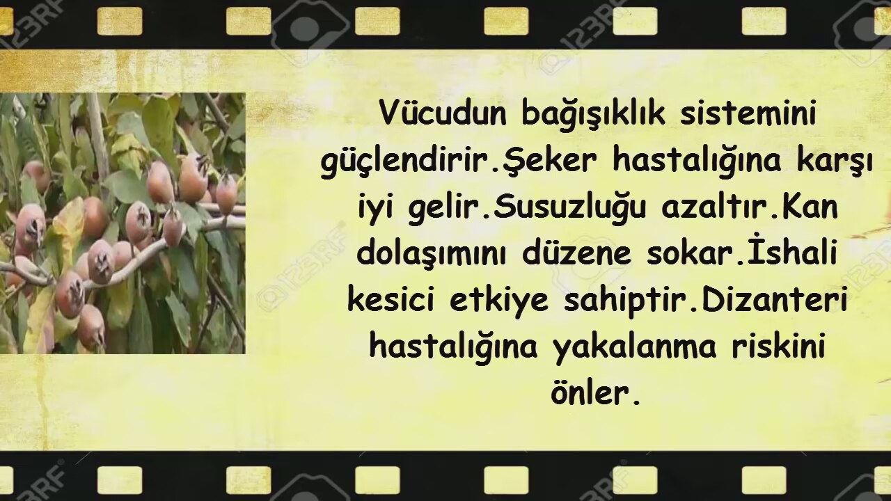 Muşmulanın faydaları nelerdir Muşmulanın faydaları nelerdir