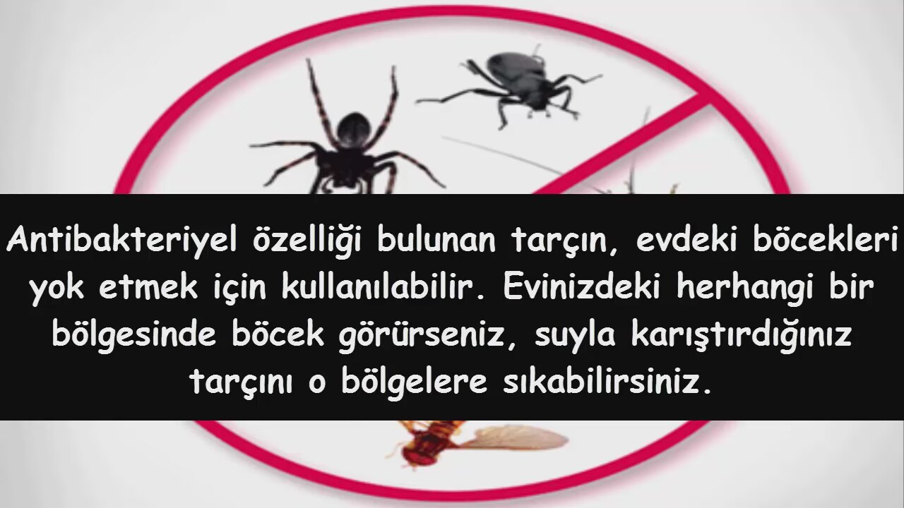 Tarçının bilinmeyen 10 mucizevi faydası Tarçının bilinmeyen 10 mucizevi faydası