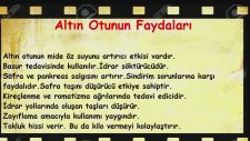Yağ Yakan Zayıflatan Altın Otu Kürü