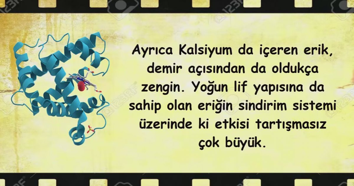 Eriğin faydaları nelerdir Eriğin faydaları nelerdir
