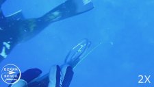 Bodrum Grida Zıpkınla Balık Avı 2017 - 25 metre