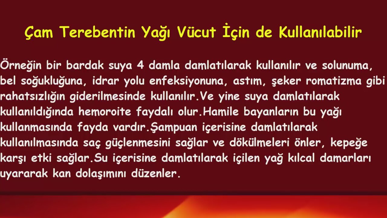 Çam terebentin yağının saça faydaları nelerdir Nasıl kullanılır Çam terebentin yağının saça faydaları nelerdir Nasıl kullanılır