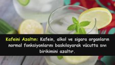Ödem Söktürücü Bitki Çayları