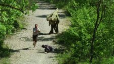 Remi Gaillard'tan Efsane Dinazor Şakası