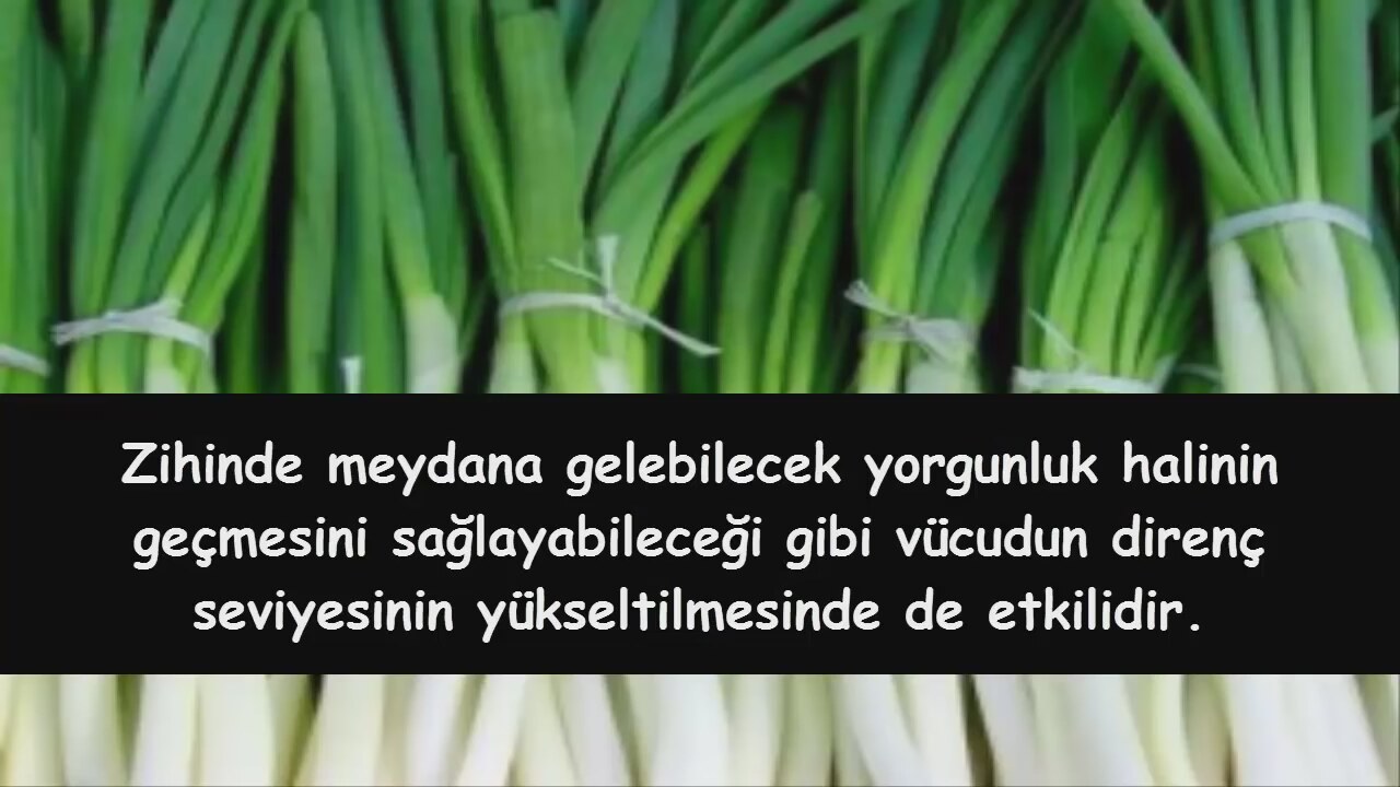 SOĞANIN FAYDALARI SOĞANIN FAYDALARI