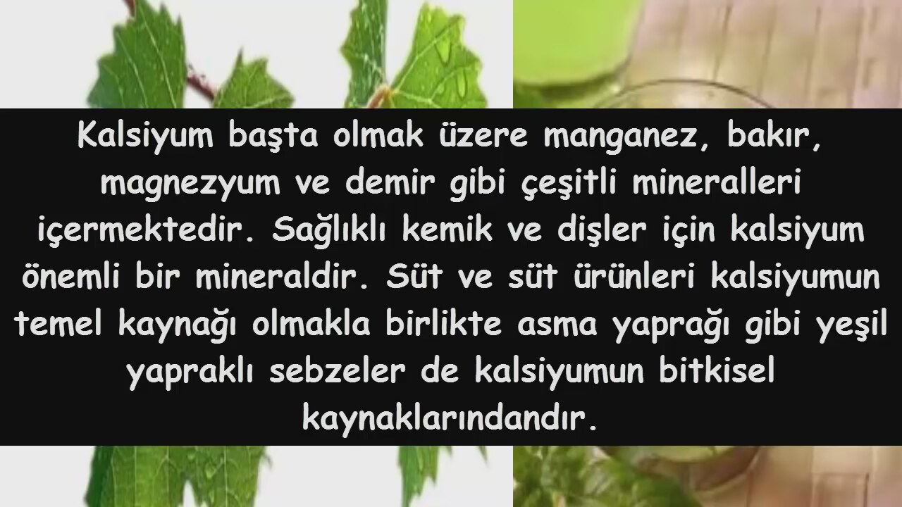 Asma yaprağının faydaları Asma yaprağının faydaları