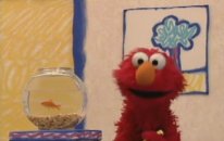 Elmo Kuşlar