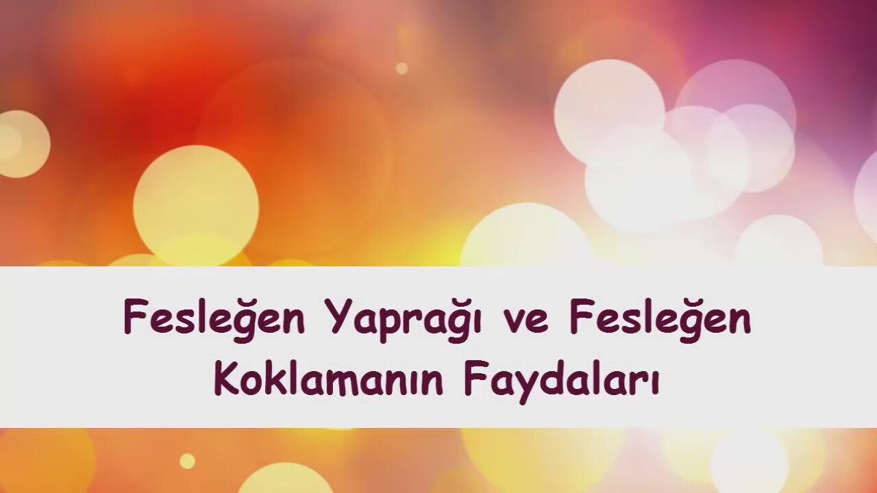 Sigarayı Bırakmanın Etkileri ve Yararları Nedir Sigarayı Bırakmanın Etkileri ve Yararları Nedir