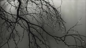 Sonics - Rain Song Sonics - Rain Song