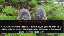 İbrahim Saraçoğlu’ndan 4 Farklı Bitkisel Bel Fıtığı Kürü