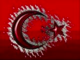 Tüm Şehit Analarına Ve Tüm Şehitlerimizin Anısına