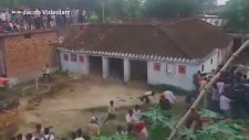Dev Yırtıcılar İnsanlara Saldırıyor İnanılmaz Vahşi Hayvan Saldırıları Aslan Kaplan Leopar Çita