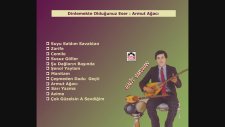 Halit Saruhan - Armut Ağacı
