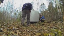 Incredibly Rare Siberian Tiger Release - GoPro Video of the Day