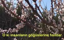 Nas Suresi - Fatih Çollak