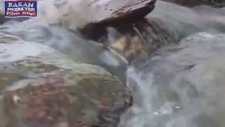 Dengbeji Sidar Beritan Ehmete İskan 2015 T