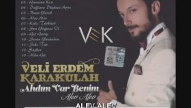 Veli Erdem Karakülah - Alev Alev Veli Erdem Karakülah - Alev Alev