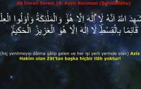 Ali İmran 18. Ayeti Şehidallâhu 40 Kere Tekrarlı