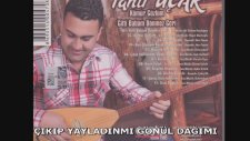 Tahir Uçar - Çıkıp Yayladın Mı Gönül Dağımı