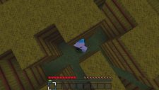 Minecraft - Chester Parkur