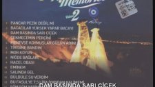 Ercan Erol - Dam Başında Sarı Çiçek