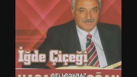 Hasan Erdoğan - DELİ POYRAZ Hasan Erdoğan - DELİ POYRAZ