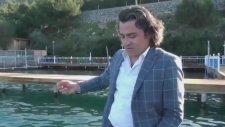 Horon Oynayan Yunus Balığı