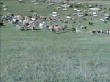 posof kol köyü
