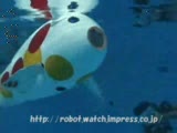 Robot Balık
