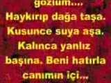 Süper Şiir Mutlaka Makın