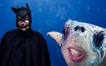 Ben Batman Olucam! - Şarkı