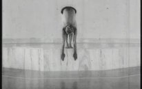 BKS Iyengar in 1977